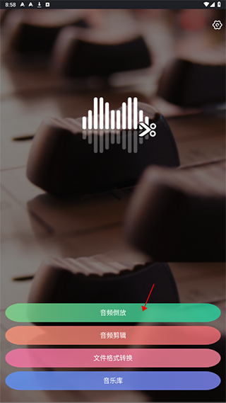 ReverseVoice