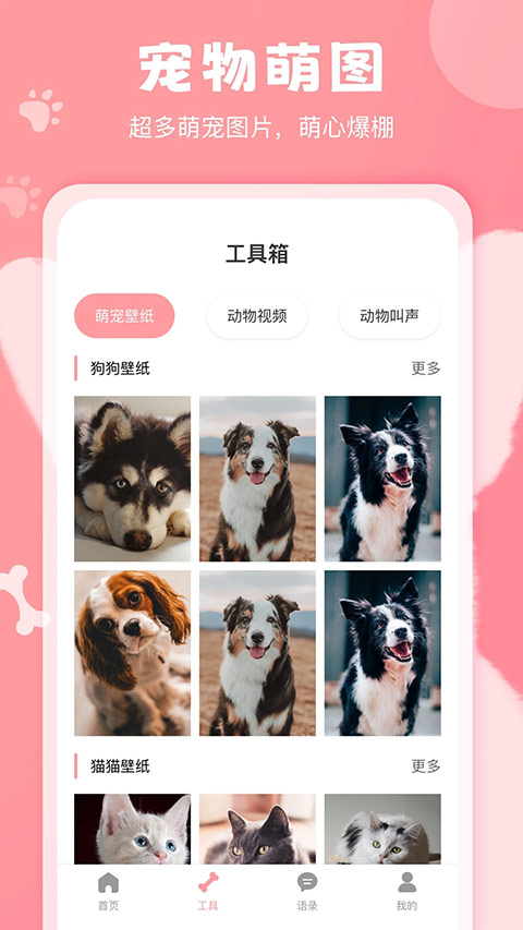 狗语翻译器最新版