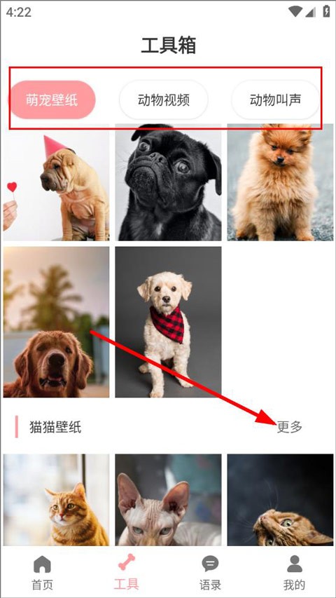 狗语翻译器最新版