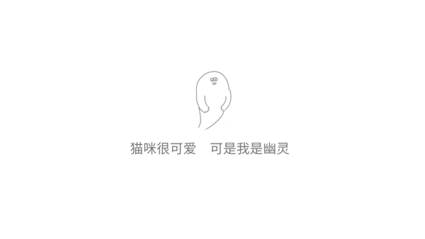 猫咪很可爱
