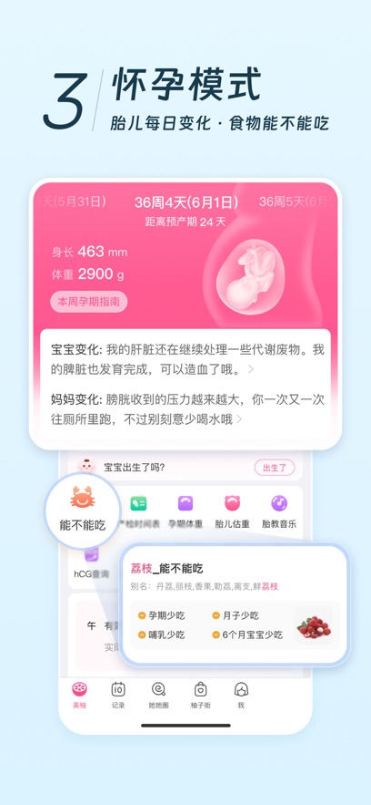 美柚