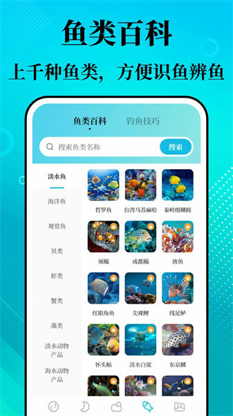 潮汐精灵