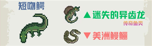 深海刮刮乐外滩群岛顾客喜好一览-8