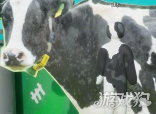 变色龙躲猫猫阴间点位一览-4
