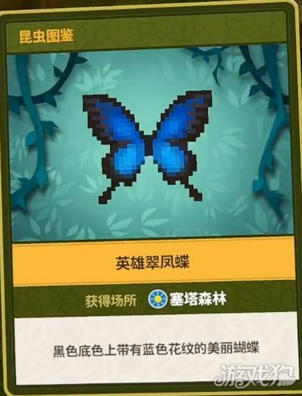 潜水员戴夫丛林DLC全昆虫图鉴一览 丛林DLC昆虫有哪些
