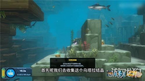 潜水员戴夫丛林DLC怎么抓大型鱼类 丛林DLC无伤抓大型鱼类攻略