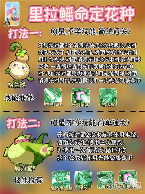 洛克王国世界命定花种第八期打法攻略-4