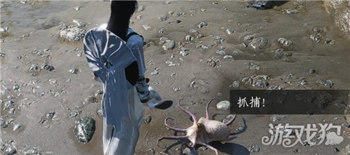 燕云十六声八足之力成就攻略-3