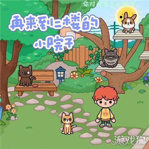 托卡世界宠物救助站密室攻略 托卡世界宠物救助站密室在哪里