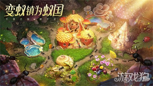 小小蚁国官网地址分享 最新地址展示
