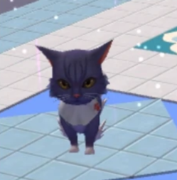 创造与魔法香蕉猫获取攻略-3